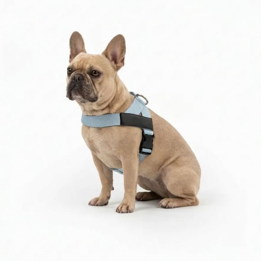Adjustable Neck & Chafe-Resistant Dog Harness for Small Dogs – No-Pull, Soft Mesh, Easy-Click Buckle
