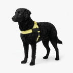 Adjustable Neck & Chafe-Resistant Dog Harness for Small Dogs – No-Pull, Soft Mesh, Easy-Click Buckle