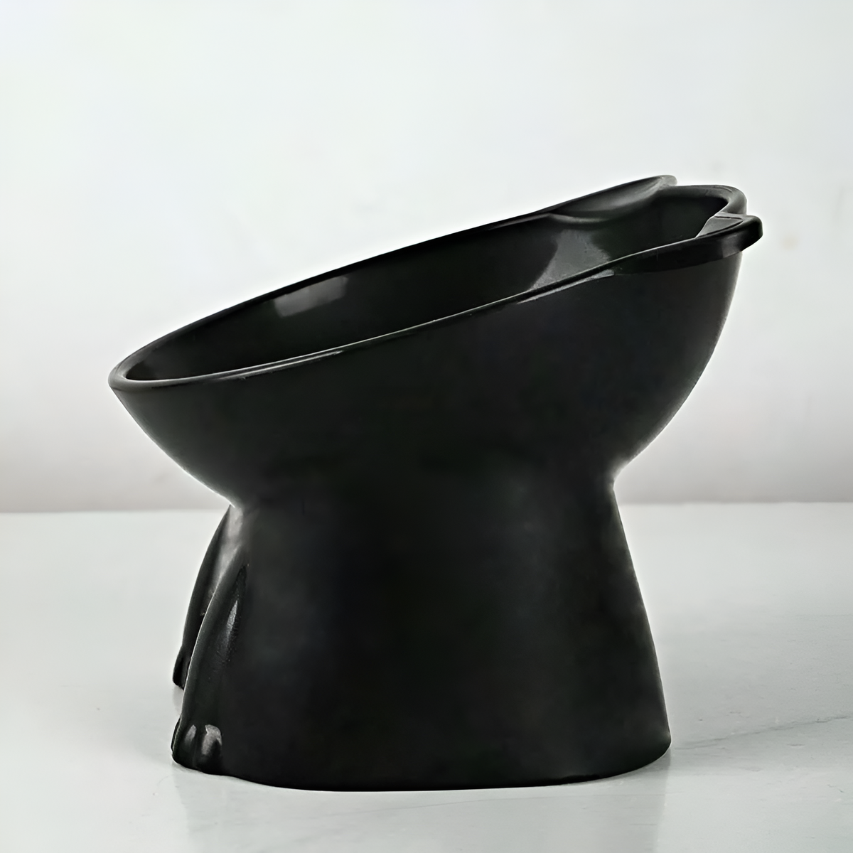 Elevated Tilt Pet Feeding Bowl – 15° Angled Stand for Cats & Dogs