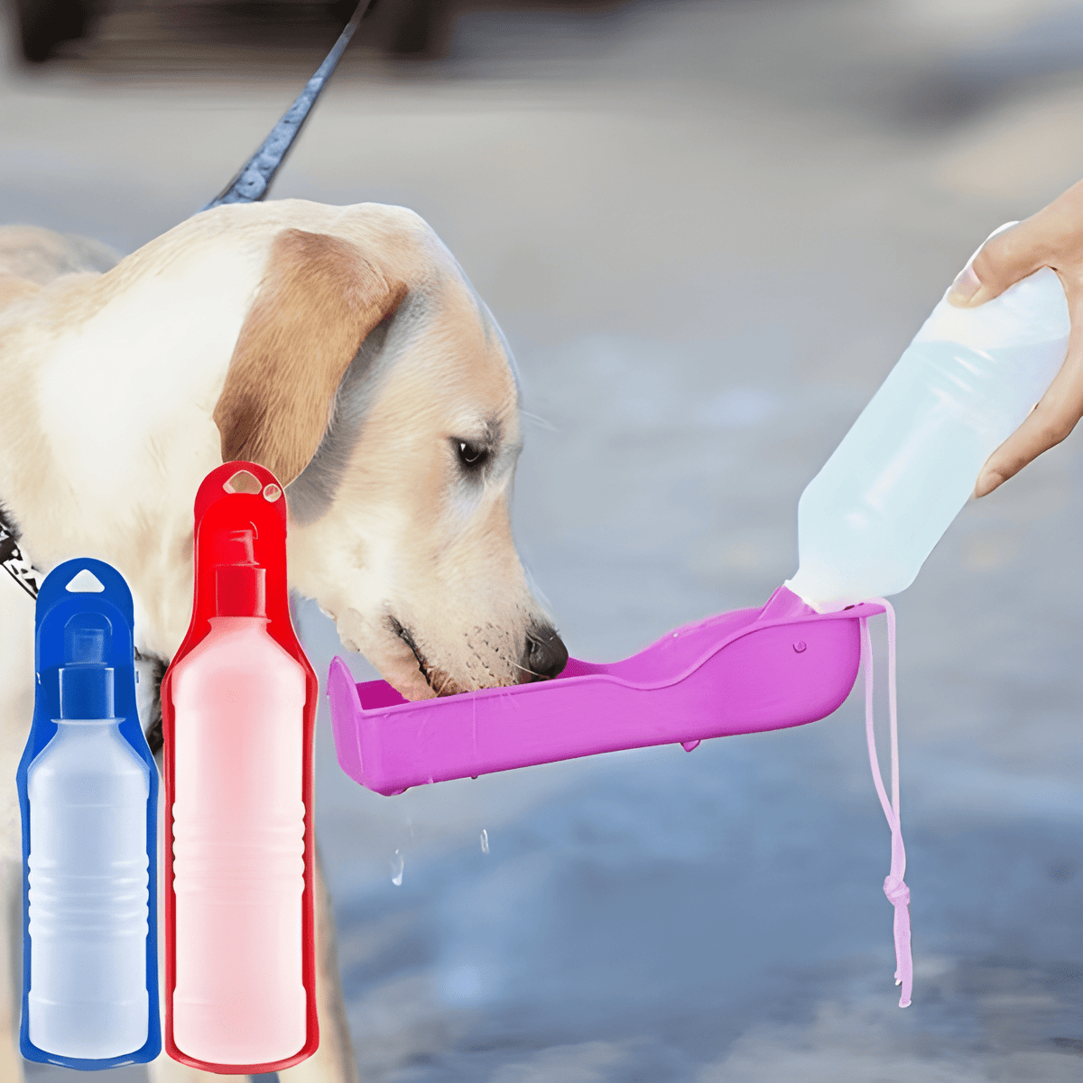Portable Dog Water Bottle — Foldable, Leak-Proof & Lightweight for Travel & Hikes
