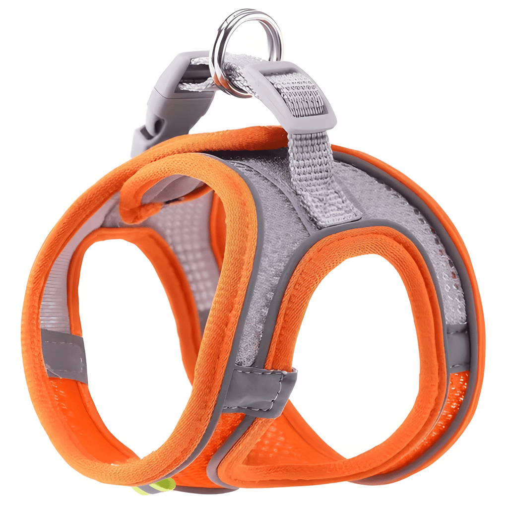 Soft Mesh Adjustable Pet Harness for Small Dogs & Cats