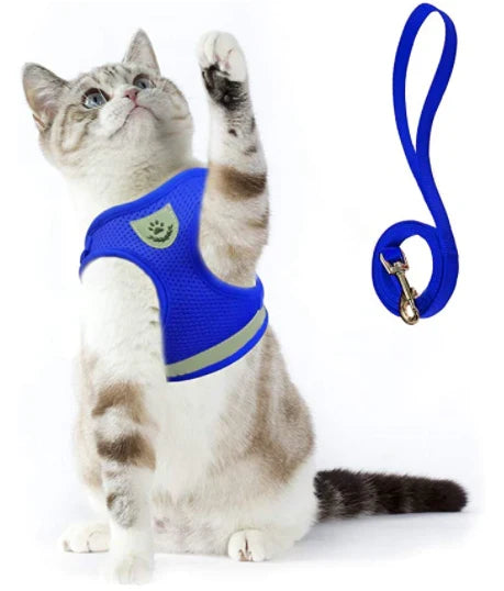 Explorer Cat Harness with Matching Leash – Escape-Proof & Breathable