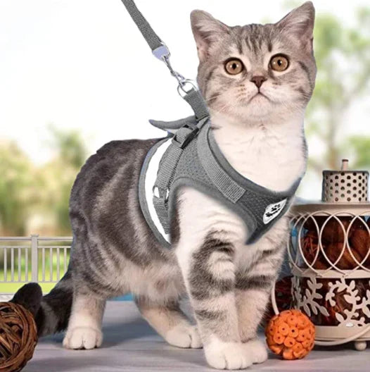 Explorer Cat Harness with Matching Leash – Escape-Proof & Breathable