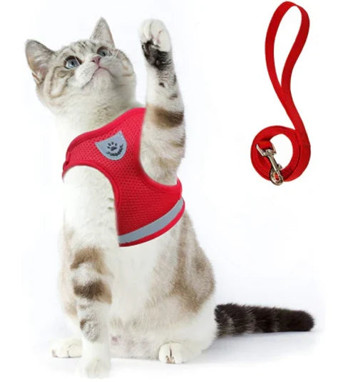 Explorer Cat Harness with Matching Leash – Escape-Proof & Breathable