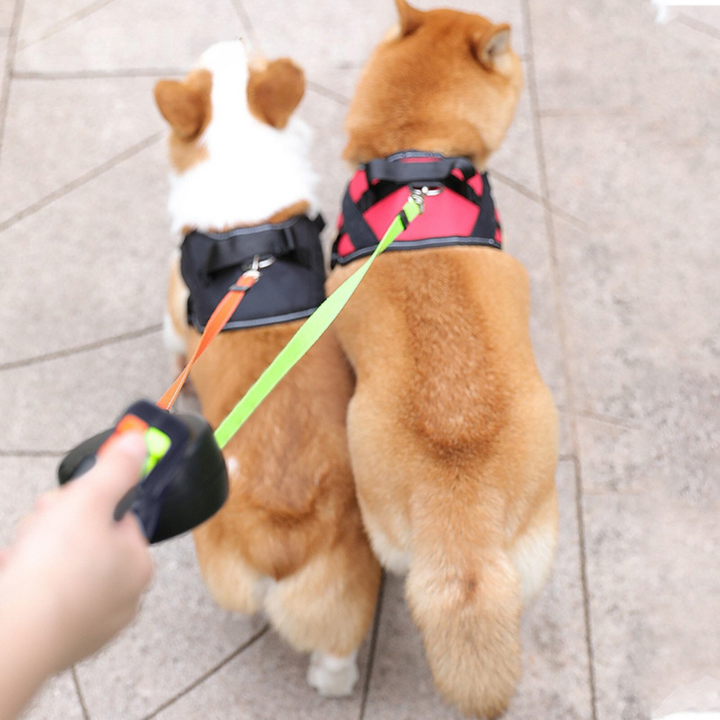 Tangle-Free Dual Dog Leash — Walk Two Dogs Effortlessly