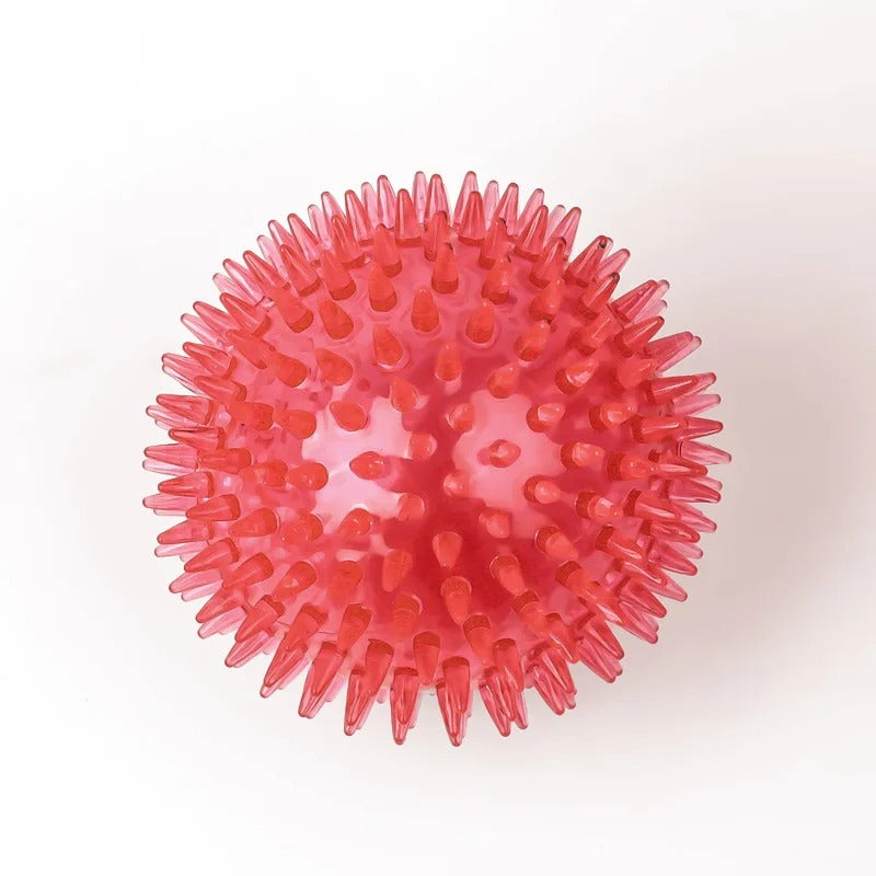Spike Ball Chew Toy for Dogs & Cats – Dental Health Dog Toy