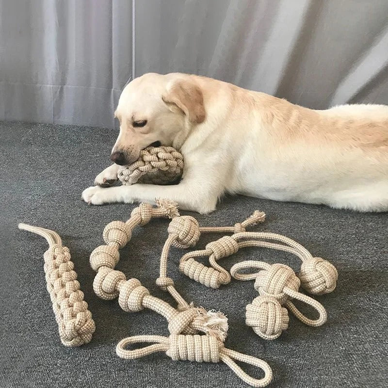 Dog Knot Toy – Fun Teeth-Cleaning Chew Toy for Puppies & Adult Dogs