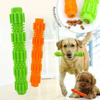Squeaky Rubber Dog Toys – Fun Chew Toy for Energetic Dogs!