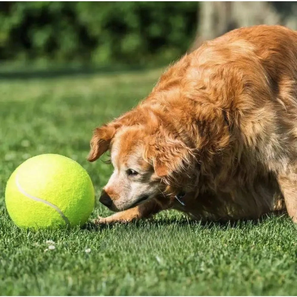 Extra-Large Durable Tennis Ball Dog Toy – Tough Chew Toy for Energetic Dogs