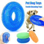Dog Chew Toy with Thorn & Hook Texture — Squeaky Dental Chew for Puppies & Adult Dogs