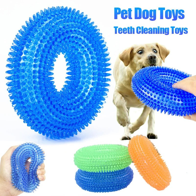 Dog Chew Toy with Thorn & Hook Texture — Squeaky Dental Chew for Puppies & Adult Dogs