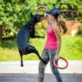 Floating Water Dog Toy Training Ring – Buoyant Fetch Ring for Dogs