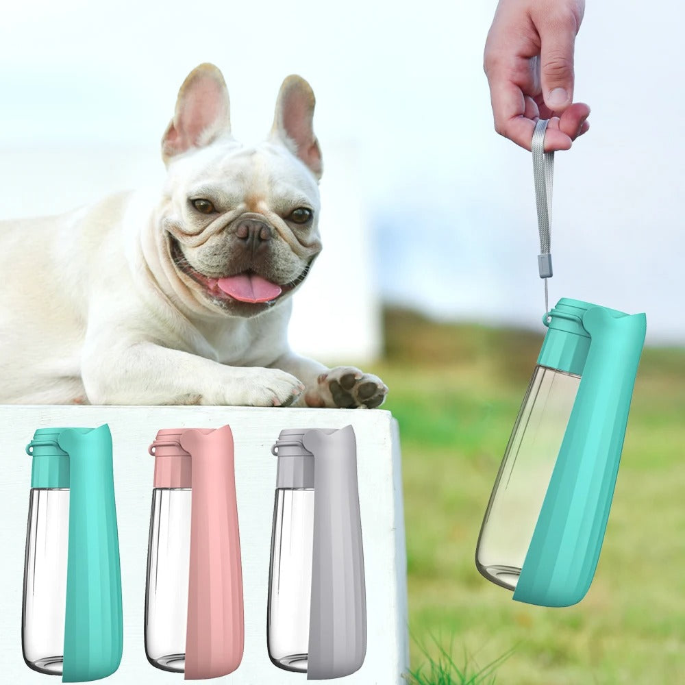Portable Dog Water Bottle with Built-In Bowl