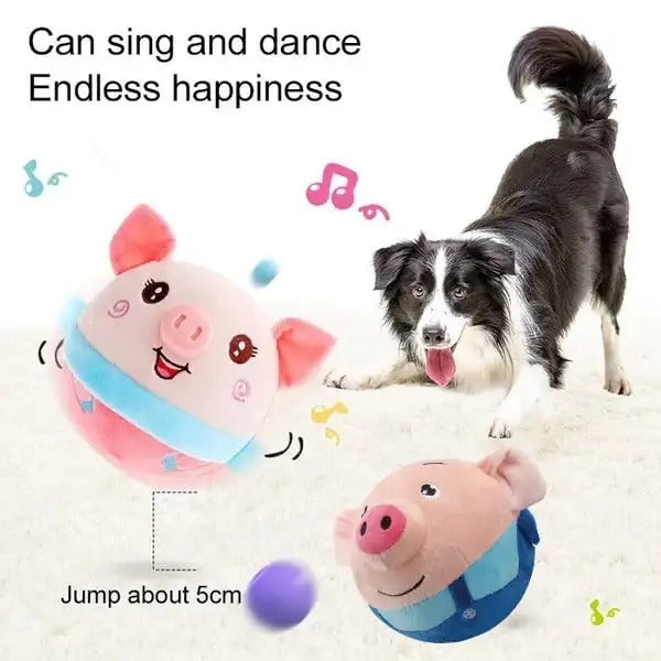 DogRover: Endless Fun & Exercise for Your Dog!
