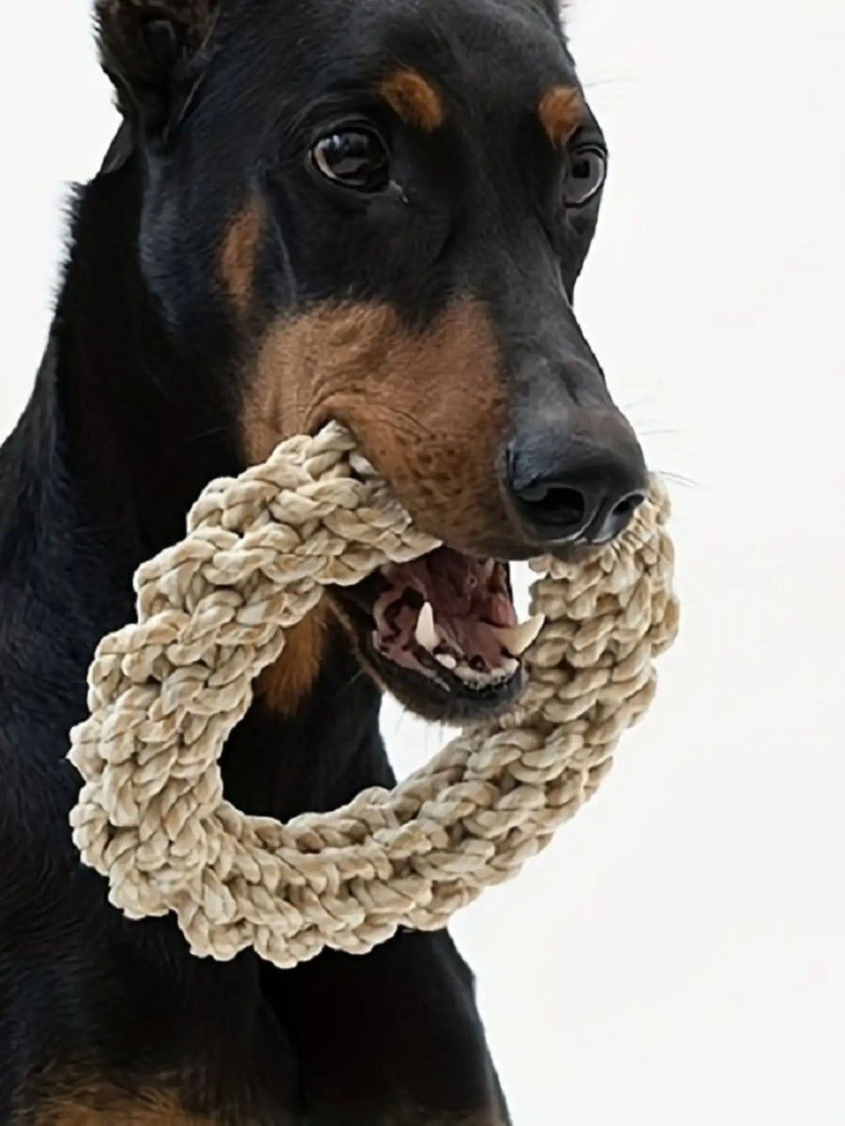 Durable Dog Rope Toy – Heavy-Duty Chew & Tug Toy for Medium & Large Dogs