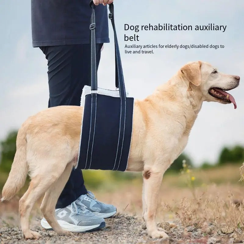 Dog Support Harness – Adjustable Rehabilitation Belt for Senior, Post-Surgery & Mobility Support