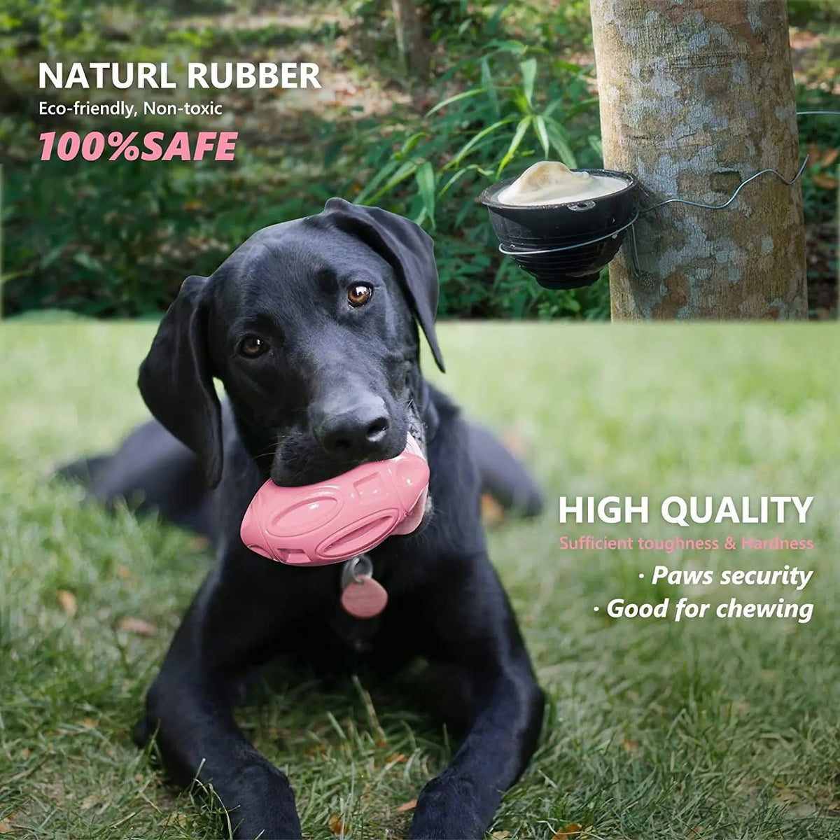 Squeaky Dog Chew Toys for Aggressive Chewers – Durable Rubber Puppy Teething Toy