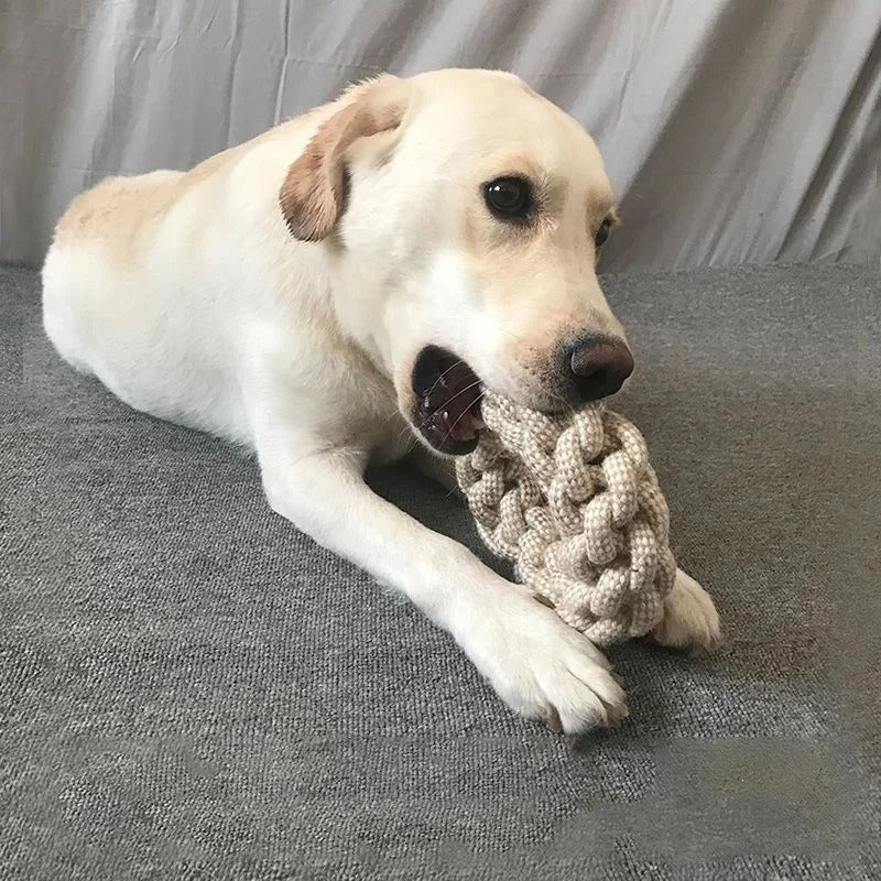 Dog Knot Toy – Fun Teeth-Cleaning Chew Toy for Puppies & Adult Dogs