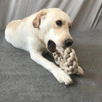 Dog Knot Toy – Fun Teeth-Cleaning Chew Toy for Puppies & Adult Dogs