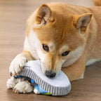 Squeaky Dog Slipper Toy with Sturdy Cotton Rope – Dental Cleaning & Fun Chew Toy