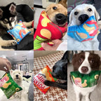 Funny Dog Toy Chips – Squeaky Crinkle Plush Chew Toy for Small & Medium Dogs