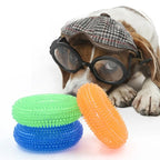 Dog Chew Toy with Thorn & Hook Texture — Squeaky Dental Chew for Puppies & Adult Dogs
