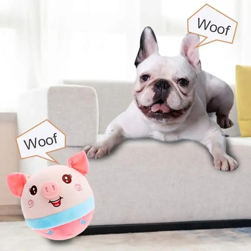 DogRover: Endless Fun & Exercise for Your Dog!