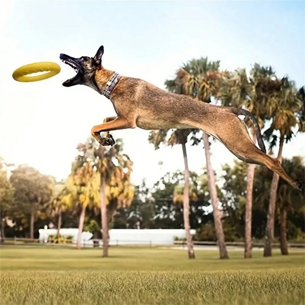 Flying Disc Training Ring Puller – Durable Dog Toy for Fetch, Tug & Water Play