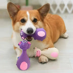 Squeaky Interactive Dog Chew Toy with Thorns & Hooks