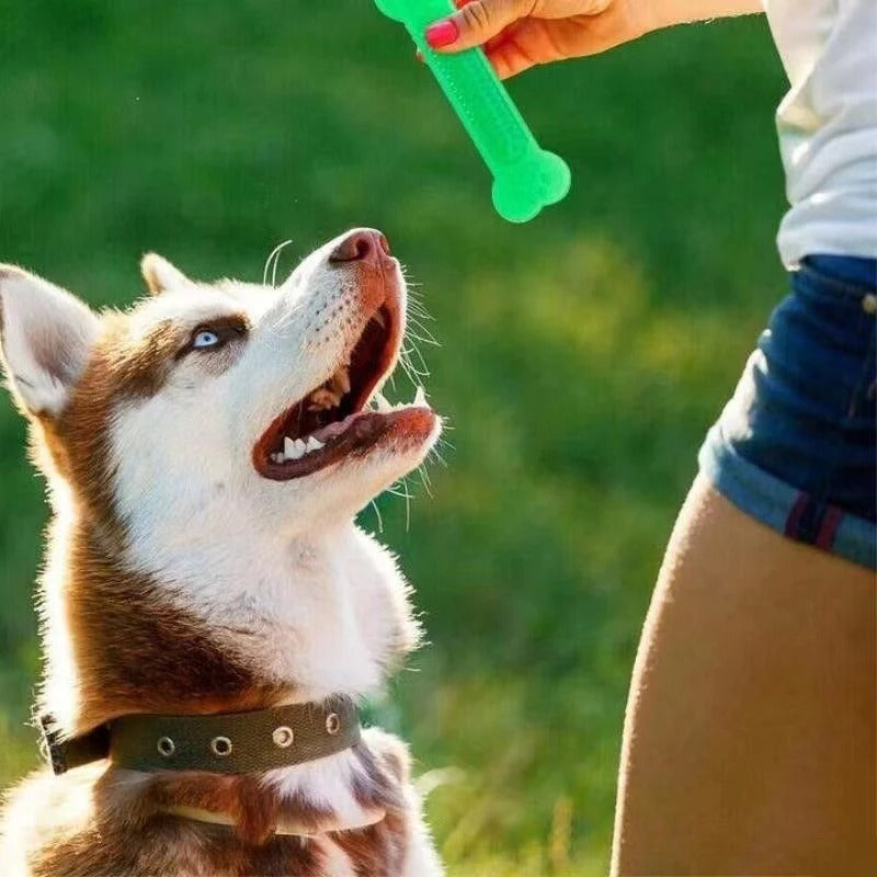 Rubber Bone Chew Toy for Aggressive Dog Chewers