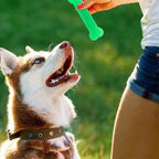 Rubber Bone Chew Toy for Aggressive Dog Chewers