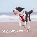 Squeaky Dog Chew Toys for Aggressive Chewers – Durable Rubber Puppy Teething Toy