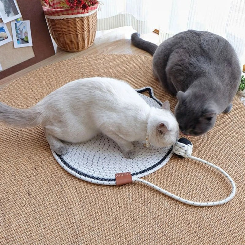 Cat Scratching Rug – Natural Sisal Double-Sided Scratcher for Indoor Cats