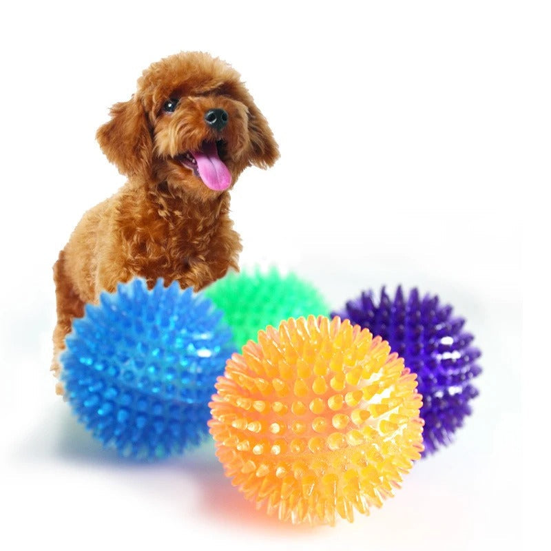 Spike Ball Chew Toy for Dogs & Cats – Dental Health Dog Toy
