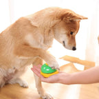PetTrainer – Ultimate Training Ring + Paw Print Maker for Dogs & Cats!