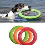 Floating Water Dog Toy Training Ring – Buoyant Fetch Ring for Dogs