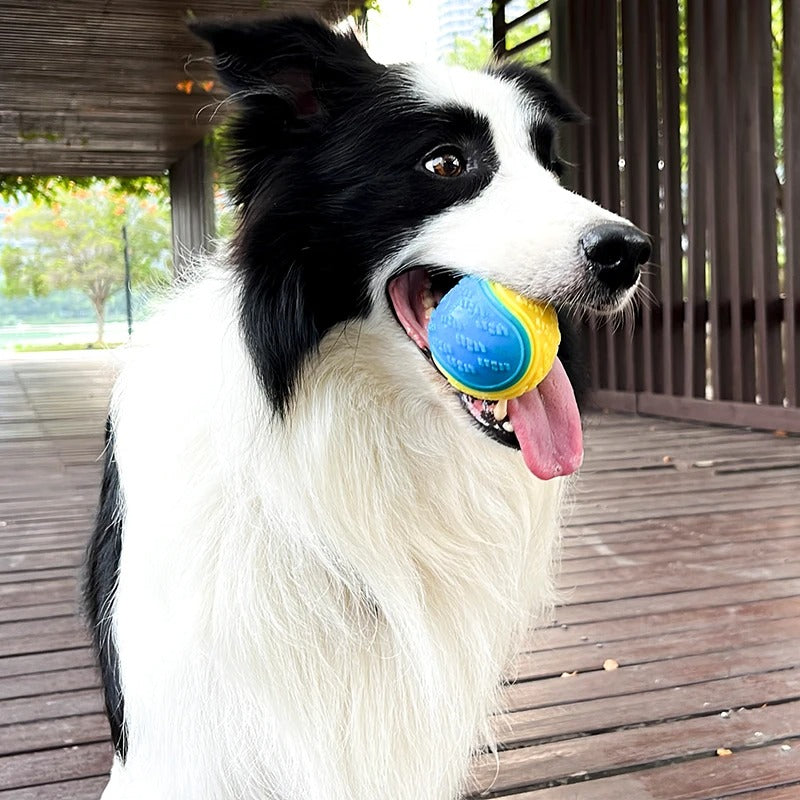 Soft TPR Dog Toy – Squeaky Chew Toy for Gentle Play & Long-Lasting Fun