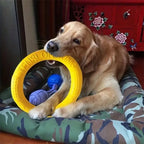 Flying Disc Training Ring Puller – Durable Dog Toy for Fetch, Tug & Water Play