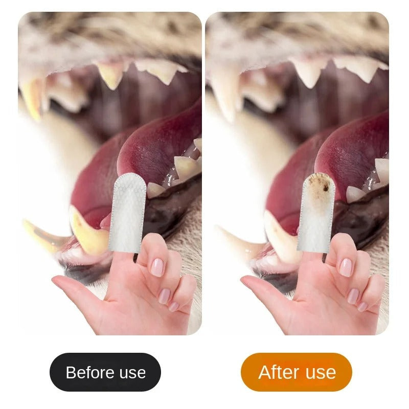 Pet Tooth Cleaning Finger Wipes – Gentle, Disposable Dental Care for Dogs & Cats