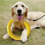Flying Disc Training Ring Puller – Durable Dog Toy for Fetch, Tug & Water Play