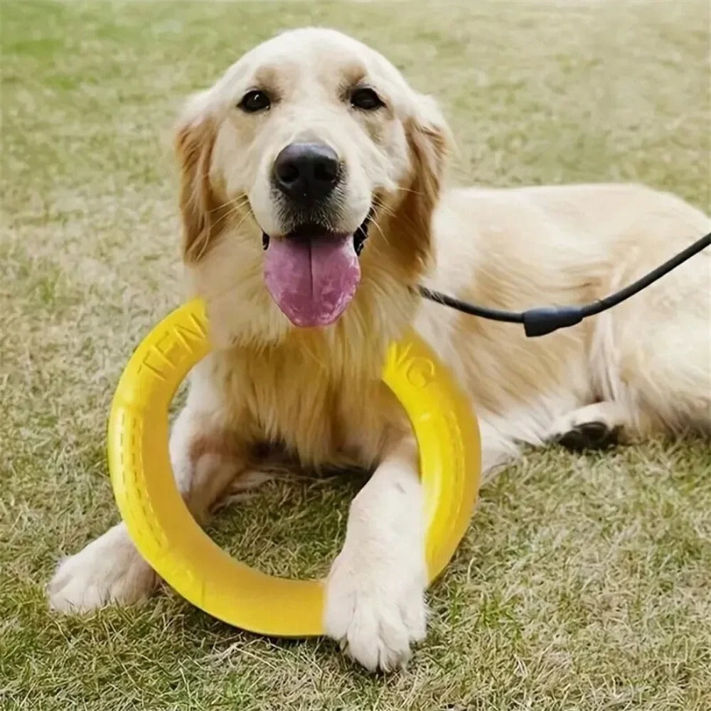 Flying Disc Training Ring Puller – Durable Dog Toy for Fetch, Tug & Water Play