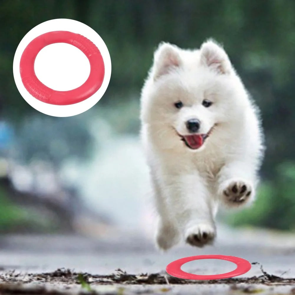 Floating Water Dog Toy Training Ring – Buoyant Fetch Ring for Dogs