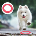 Floating Water Dog Toy Training Ring – Buoyant Fetch Ring for Dogs