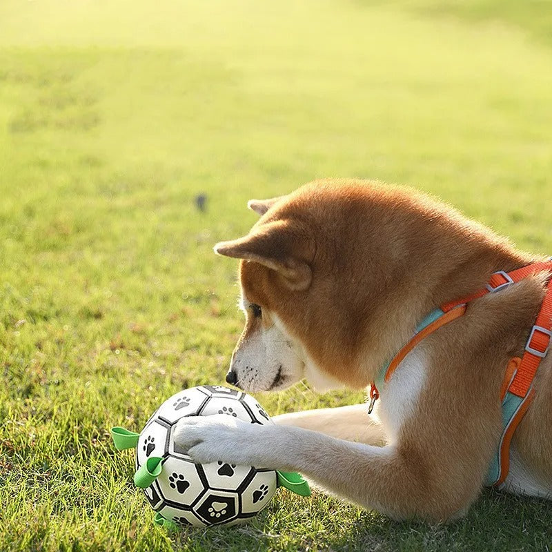 Durable Dog Toy Ball with Pull Handles — Chew-Resistant & Interactive