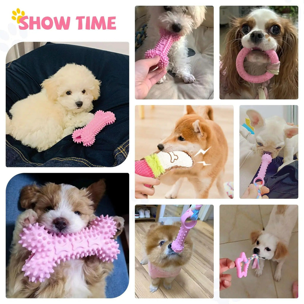 6-Piece Puppy Teething Toy Set – Chew Toys for Small Dogs & Puppies