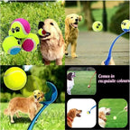 FetchStick – The Ultimate Dog Fetch Stick for Endless Outdoor Fun!