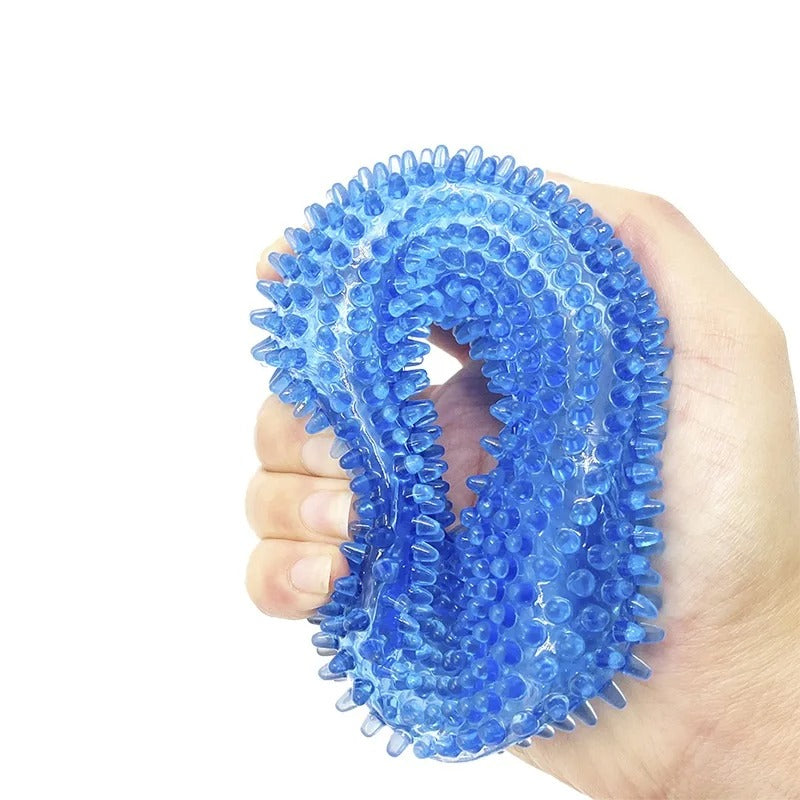 Dog Chew Toy with Thorn & Hook Texture — Squeaky Dental Chew for Puppies & Adult Dogs