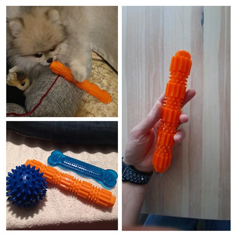 Squeaky Rubber Dog Toys – Fun Chew Toy for Energetic Dogs!