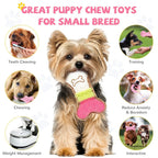 6-Piece Puppy Teething Toy Set – Chew Toys for Small Dogs & Puppies