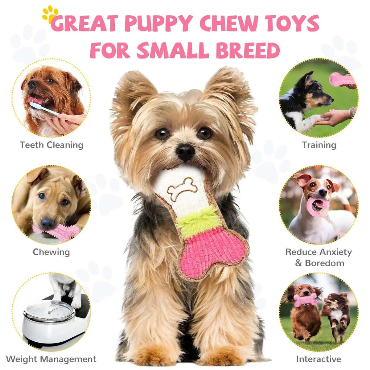 6-Piece Puppy Teething Toy Set – Chew Toys for Small Dogs & Puppies